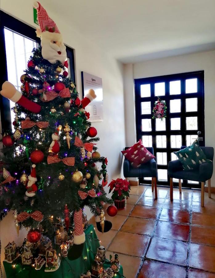 Hotel La Lejona San Miguel de Allende Ngoại thất bức ảnh