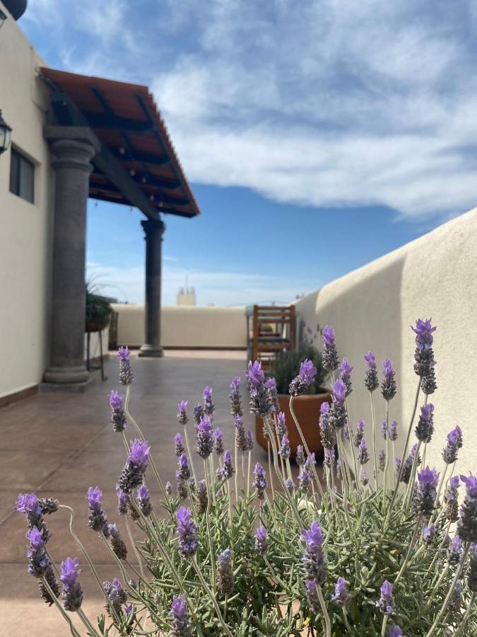 Hotel La Lejona San Miguel de Allende Ngoại thất bức ảnh