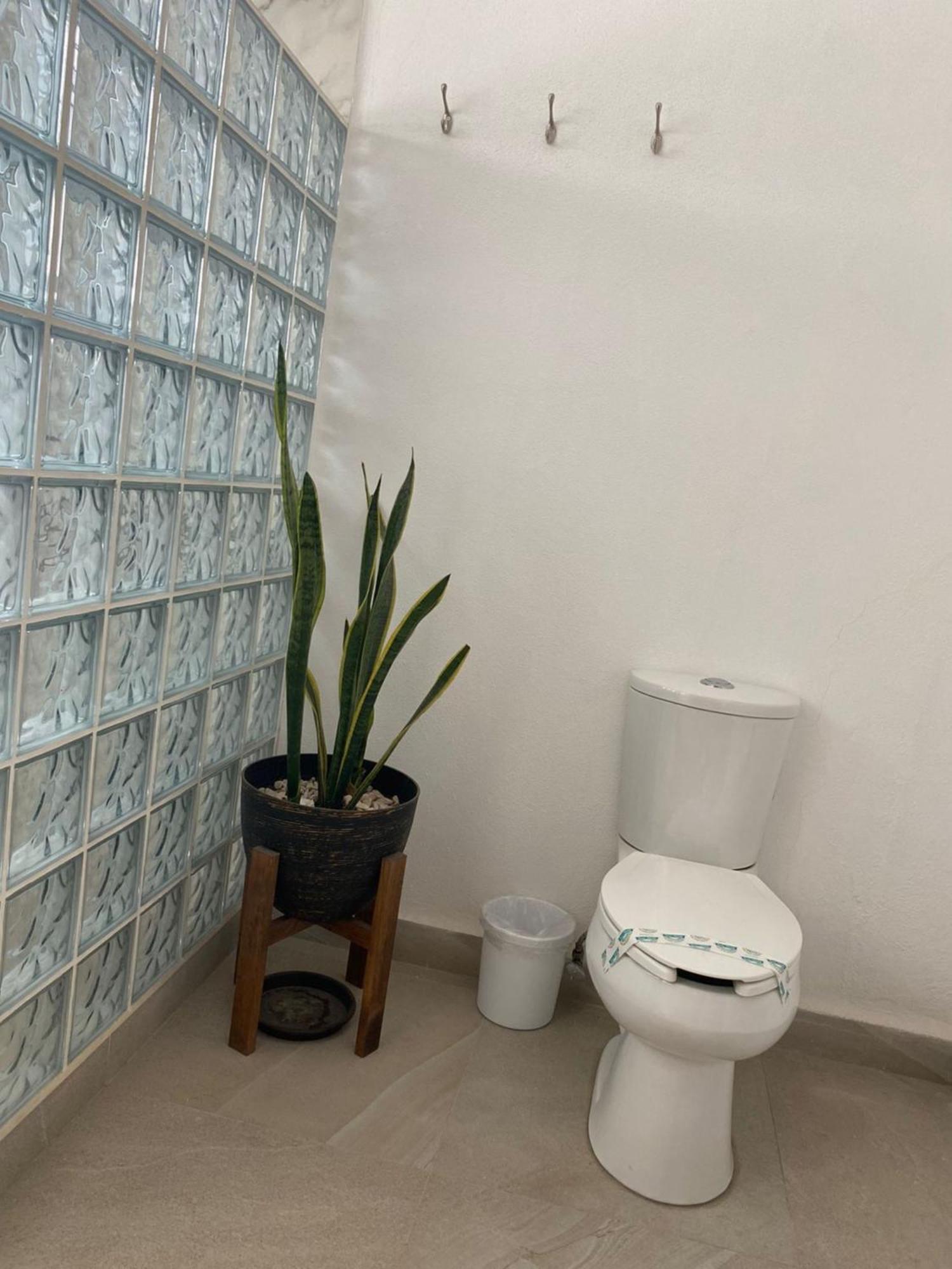 Hotel La Lejona San Miguel de Allende Ngoại thất bức ảnh